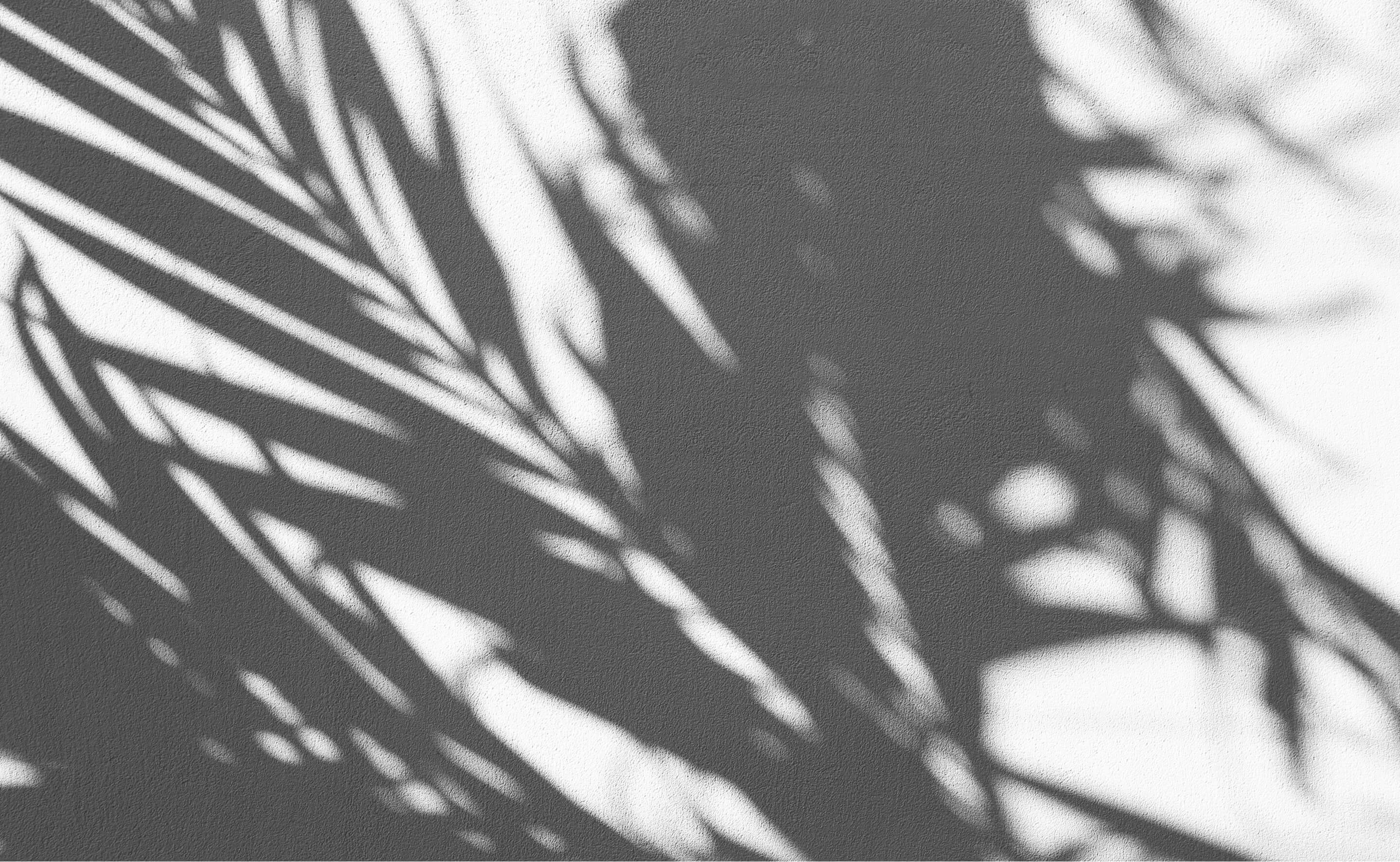 fern leaf